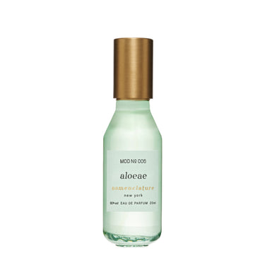 Aloeae
