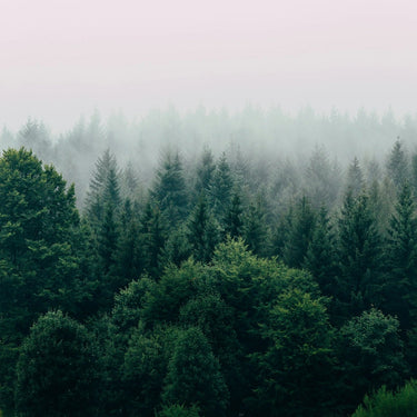 Breathe