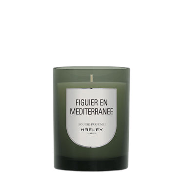 Figuier en Méditerranée