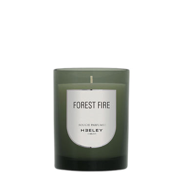Forest Fire