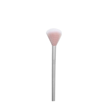 Fan Brush