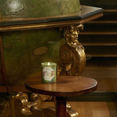 Absinthe