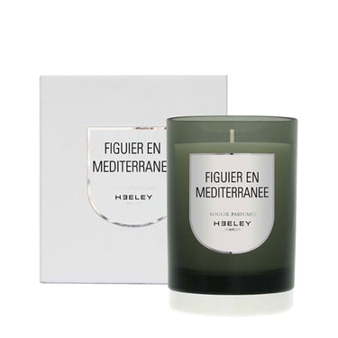 Figuier en Méditerranée