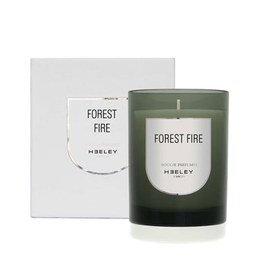 Forest Fire